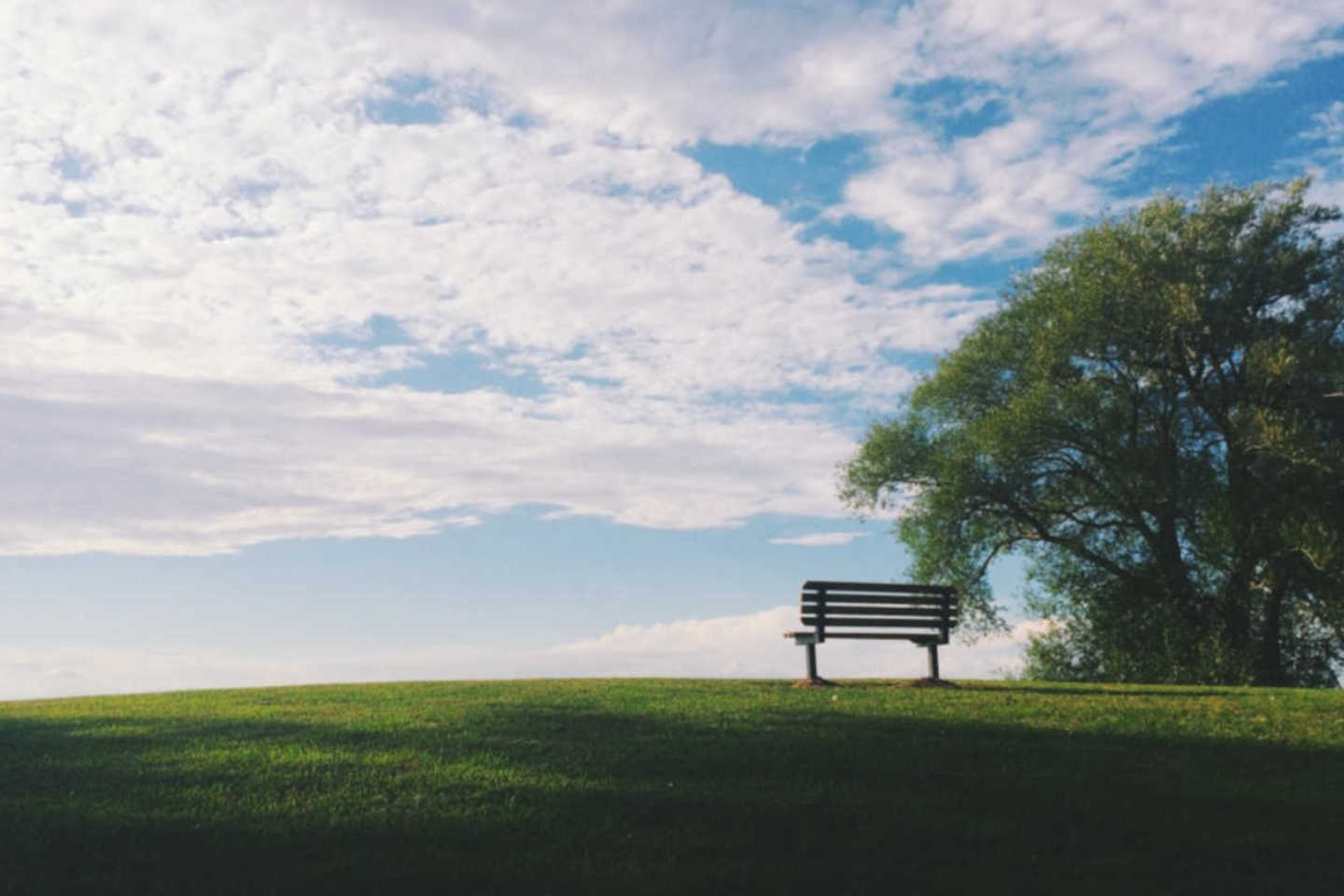 Seguro de decesos Seguro de decesos